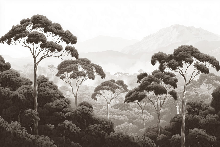 Floresta com árvores e montanhas ao fundo