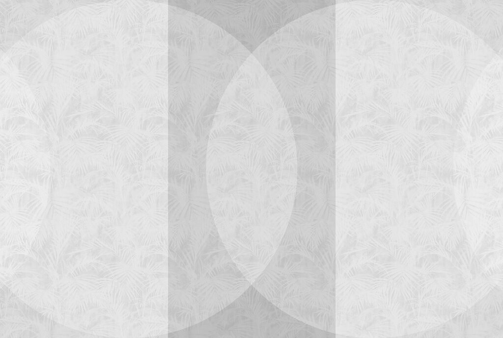 Fundo branco e cinzento Fundo branco e cinzento