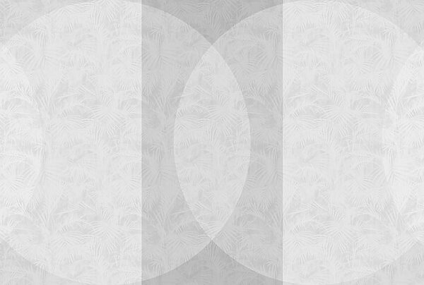Fundo branco e cinzento Fundo branco e cinzento