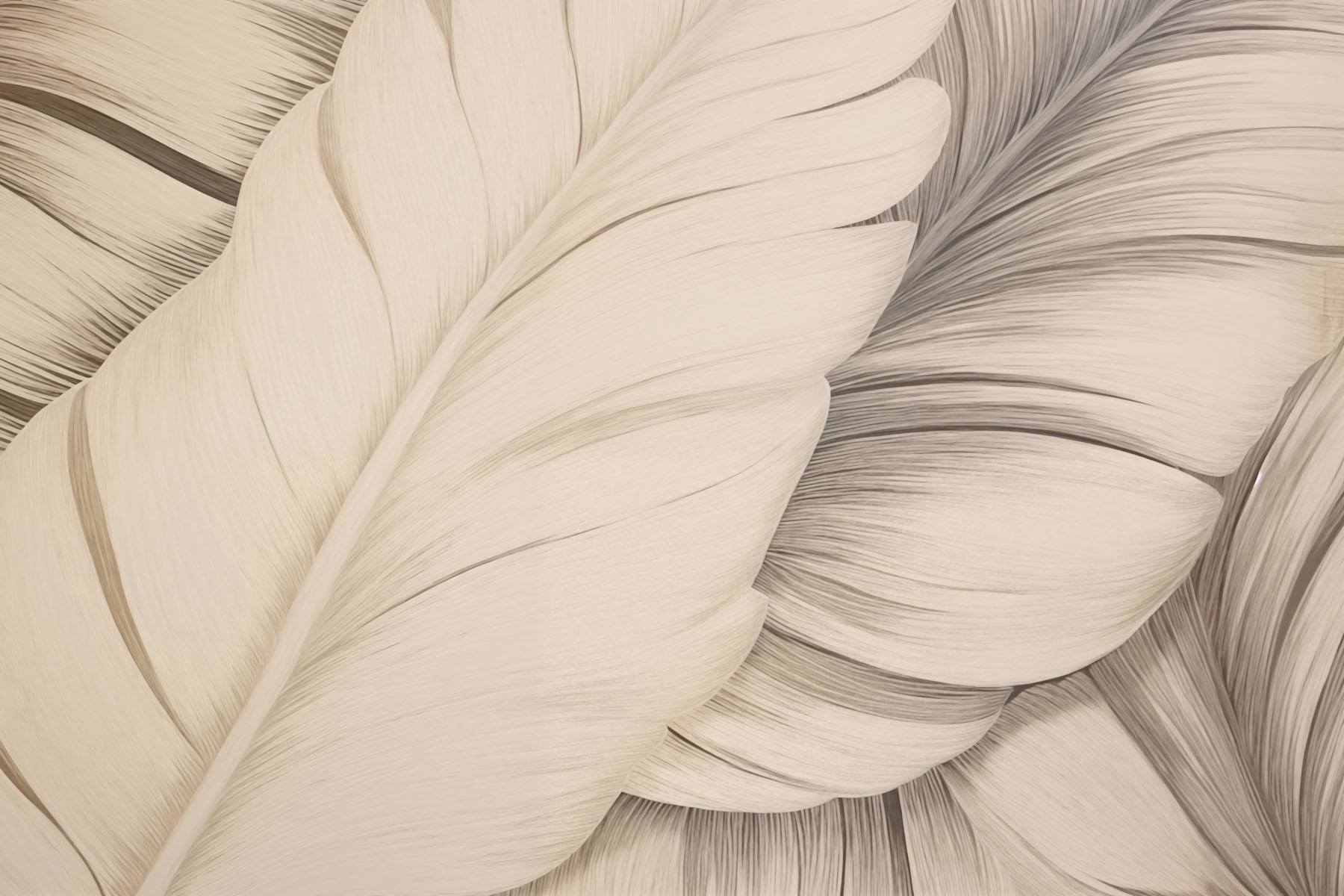 Textured white feathers in soft tones