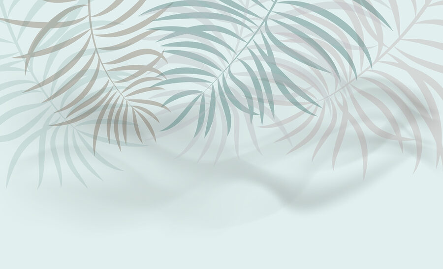 Papel de parede Folhas suaves num abraço suave - Image 3