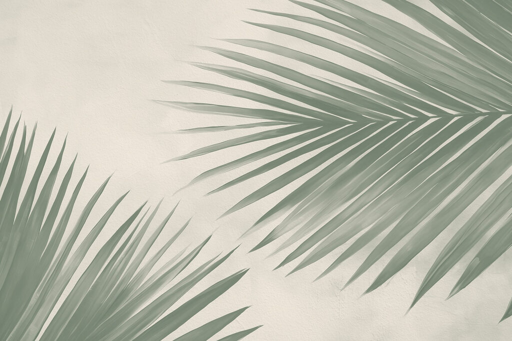 Fresh green palm leaves, nature's touch