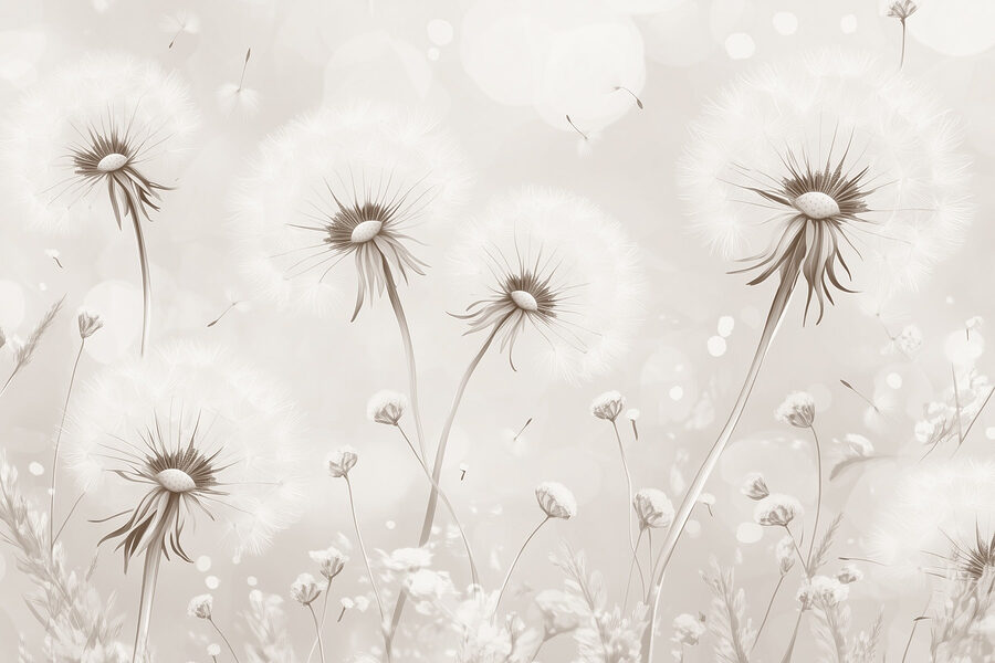 Papel de parede Delicados sonhos de dente-de-leão em flor - Image 5