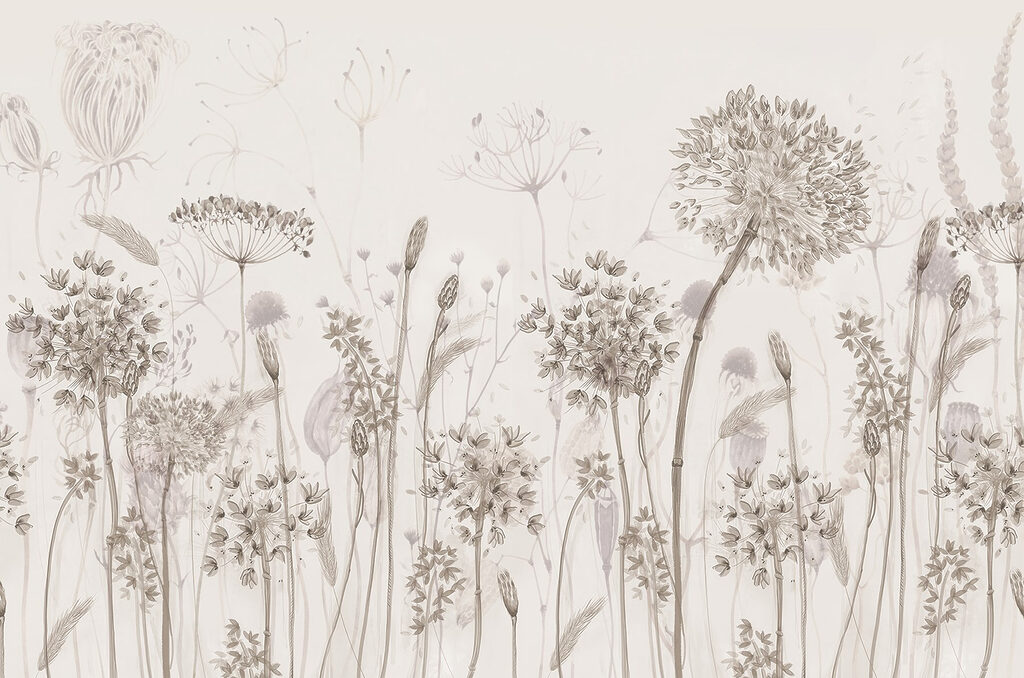Desenho de flores e plantas Desenho de flores e plantas