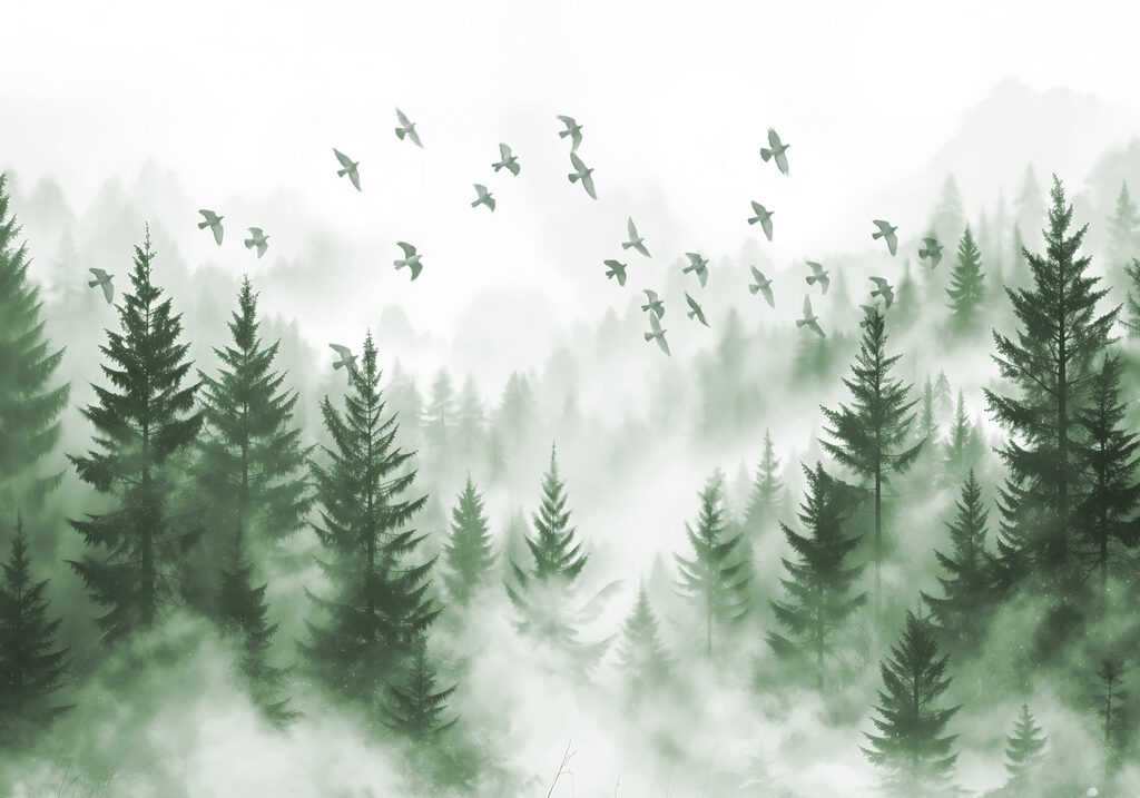 Pássaros a voar sobre uma floresta Pássaros a voar sobre uma floresta