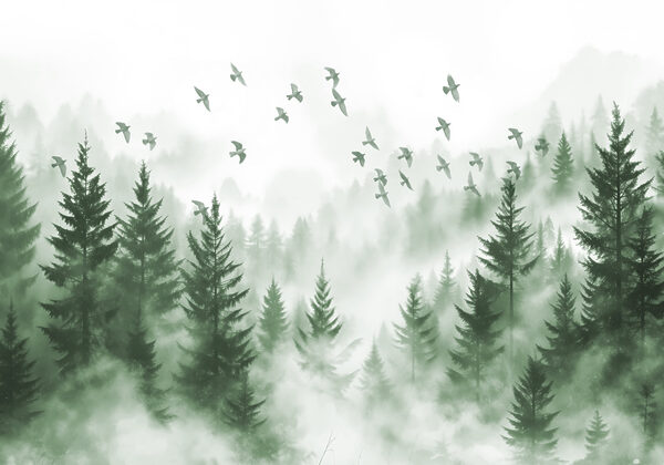Pássaros a voar sobre uma floresta Pássaros a voar sobre uma floresta