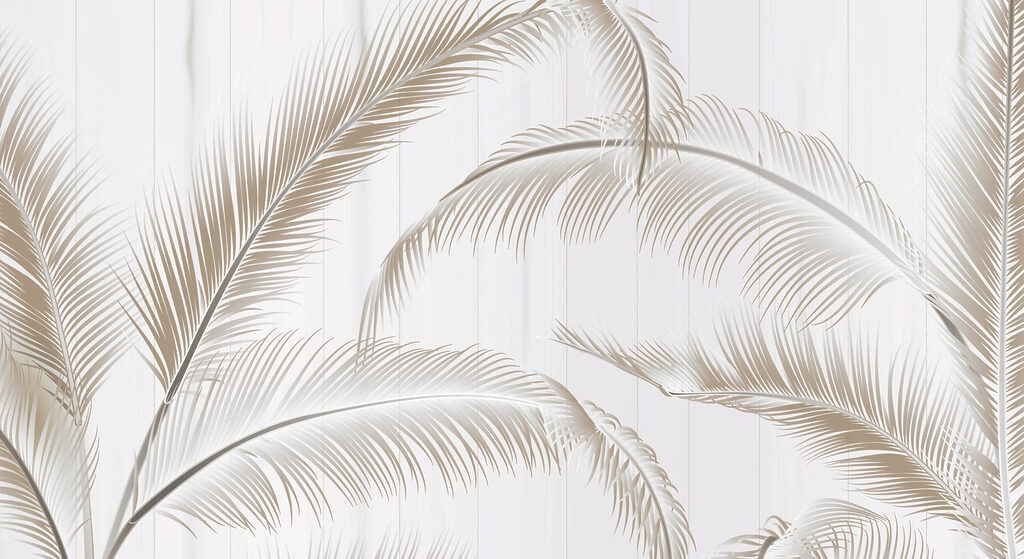 Elegantes folhas de palmeira sobre um fundo claro Elegantes folhas de palmeira sobre um fundo claro