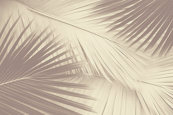 A textura da natureza em tons suaves. A textura da natureza em tons suaves.