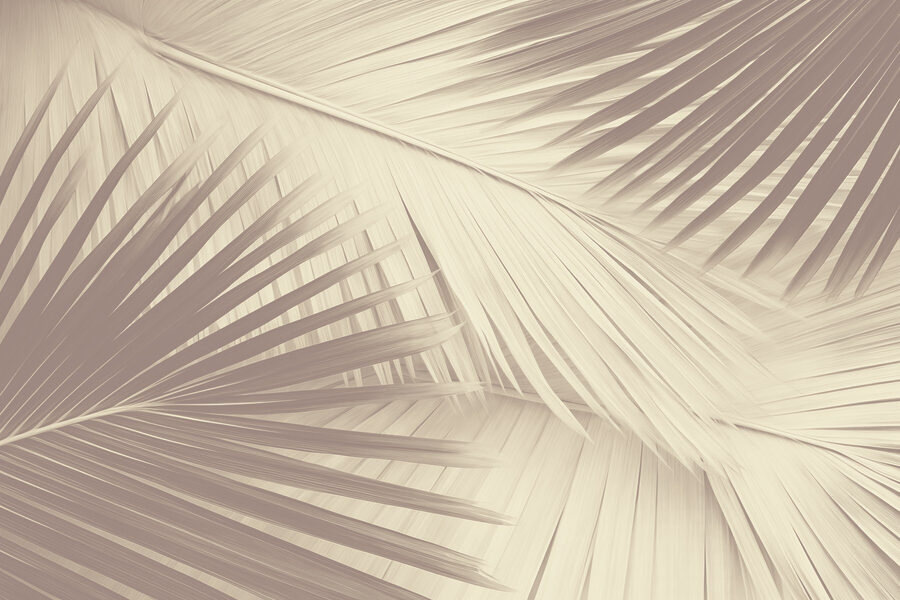 A textura da natureza em tons suaves.