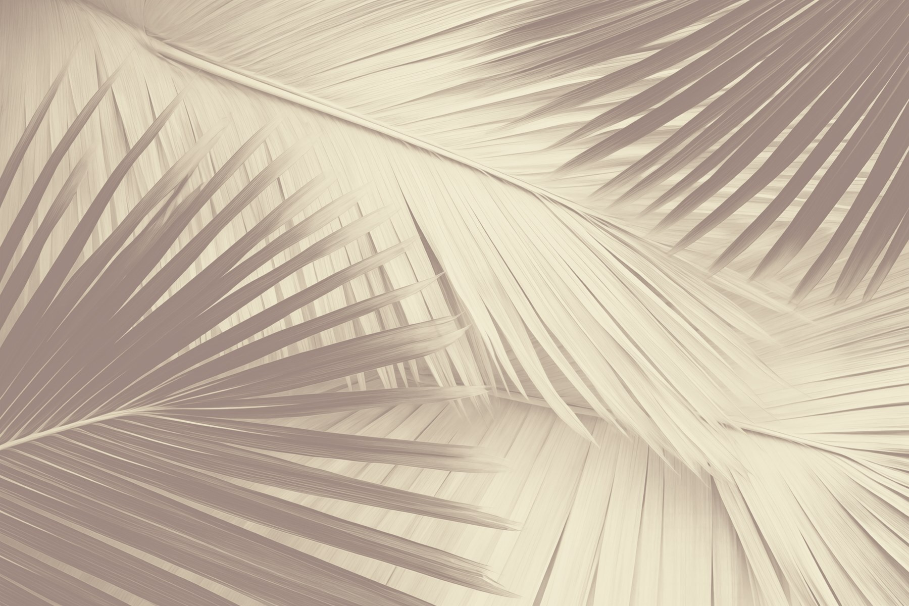 Nature's texture in soft tones