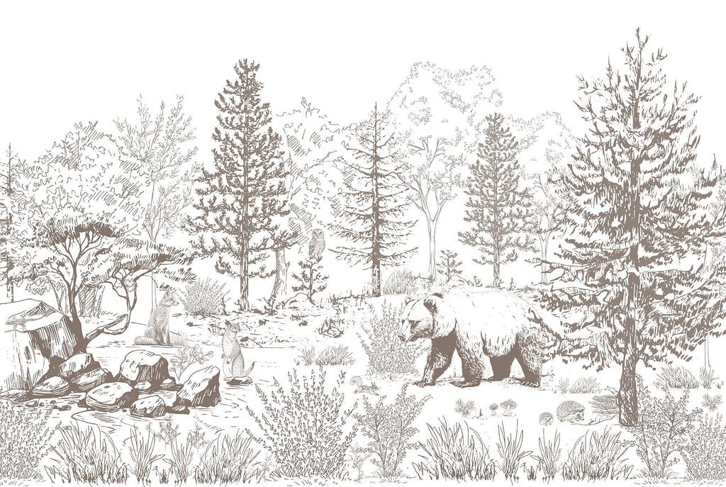 Urso a caminhar no bosque Urso a caminhar no bosque