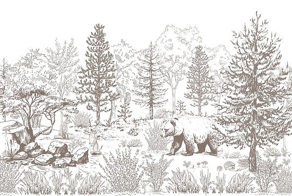 Urso a caminhar no bosque Urso a caminhar no bosque