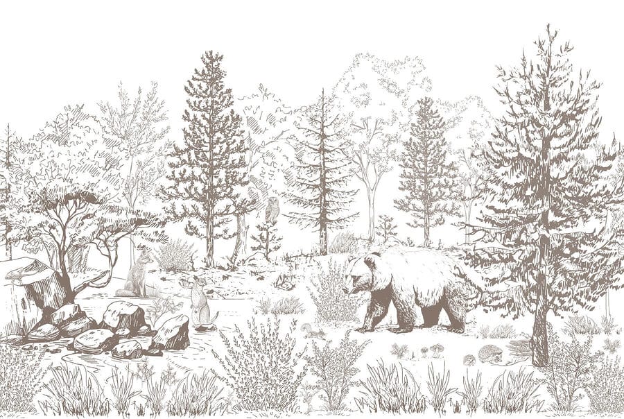 Urso a caminhar no bosque Urso a caminhar no bosque