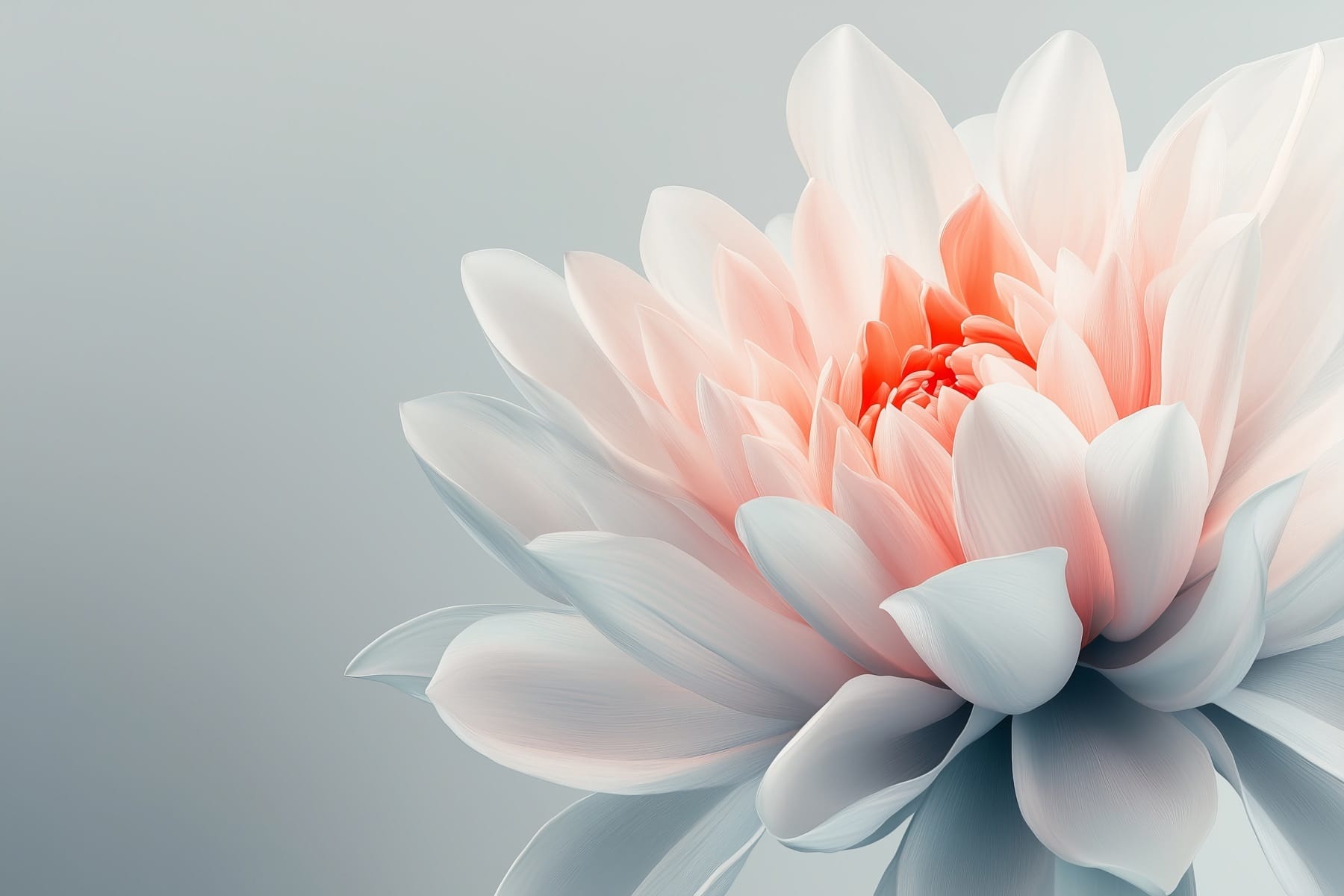 Delicate petals in soft pastel hues