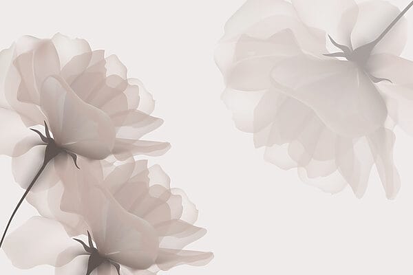 Grupo de flores sobre um fundo branco Grupo de flores sobre um fundo branco