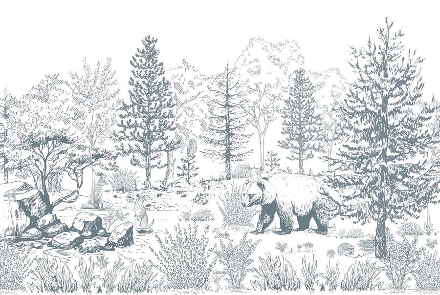 Urso no bosque