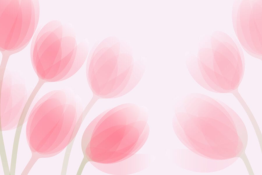 Grupo de flores cor-de-rosa