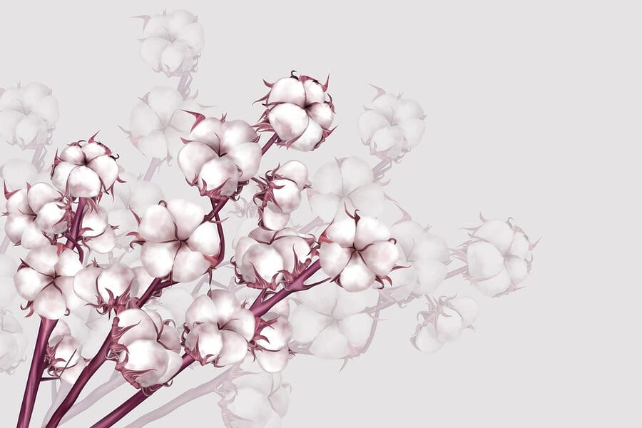 Planta com flores brancas