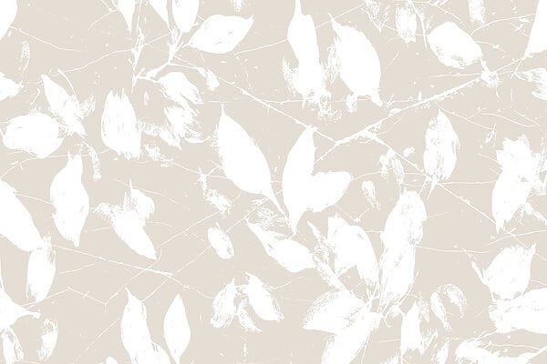 Folhas brancas sobre um fundo branco Folhas brancas sobre um fundo branco