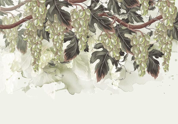 Bunch of grapes on a vine