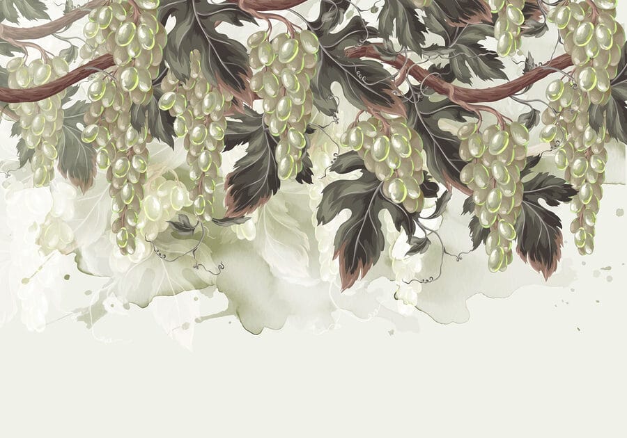 Papel de parede Cachos de uvas numa videira - Image 7