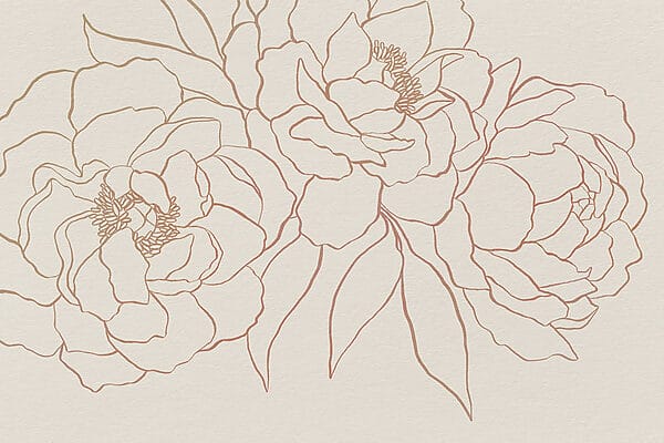 Desenho de flores numa superfície branca Desenho de flores numa superfície branca