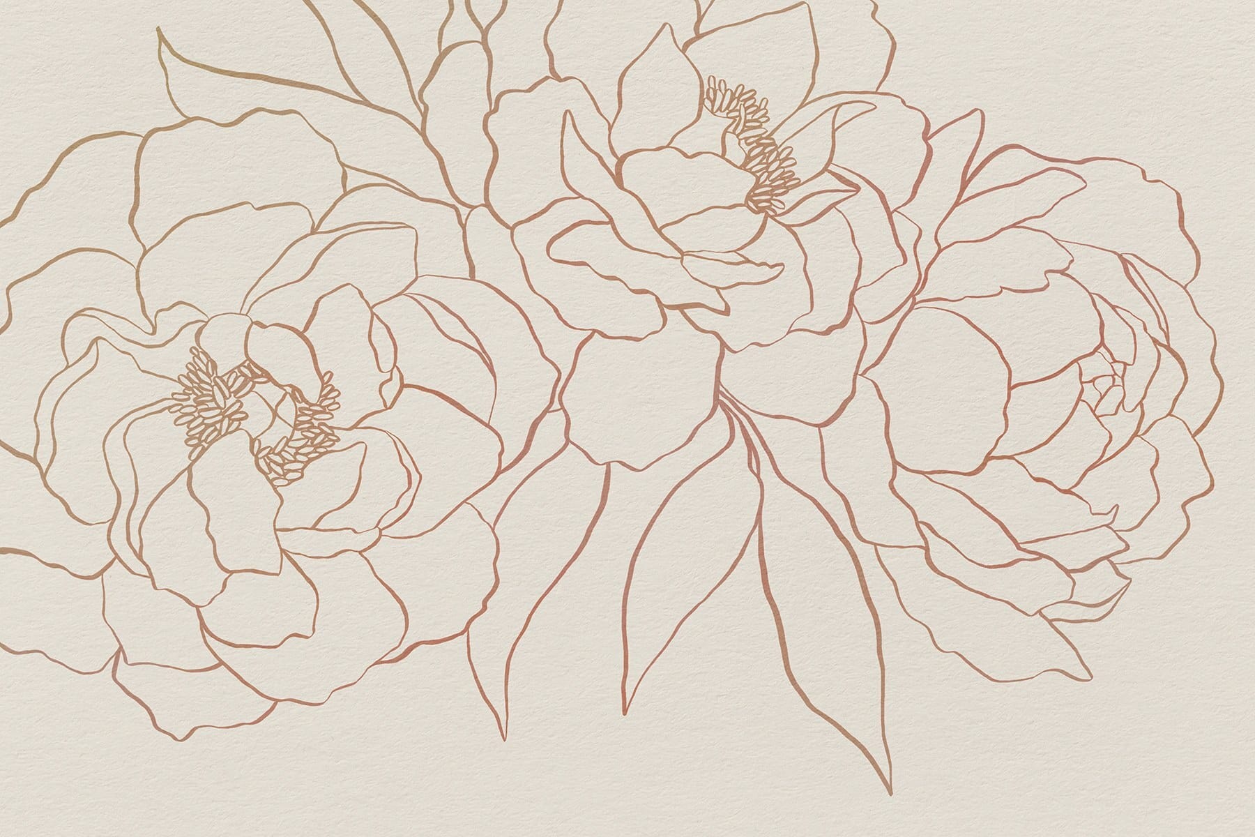 Drawing of flowers on a white surface