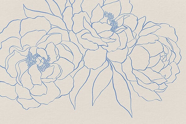 Desenho de flores numa superfície branca Desenho de flores numa superfície branca