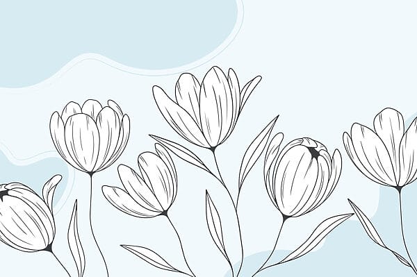 Desenho de linhas de flores Desenho de linhas de flores