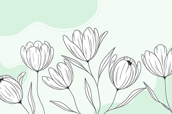 Desenho de linhas de flores Desenho de linhas de flores