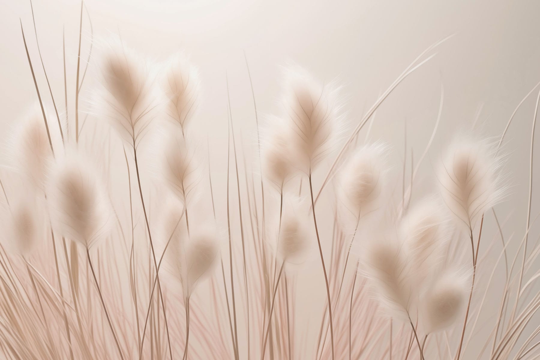 Soft textures in gentle light Soft textures in gentle light