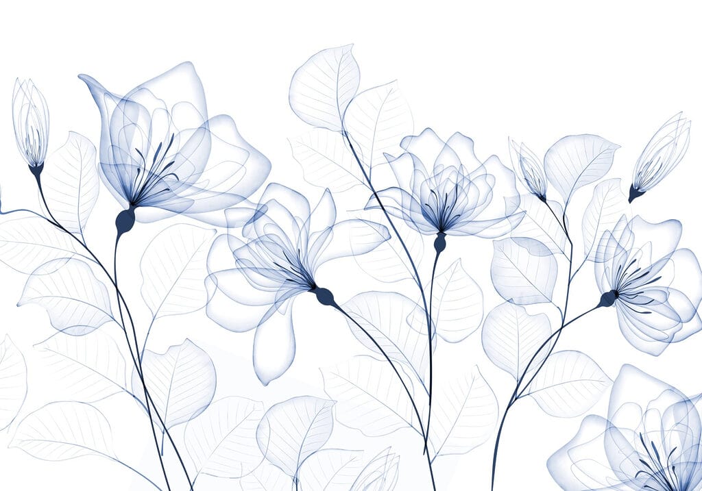 Flores e folhas transparentes Flores e folhas transparentes