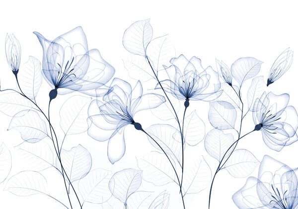 Flores e folhas transparentes Flores e folhas transparentes
