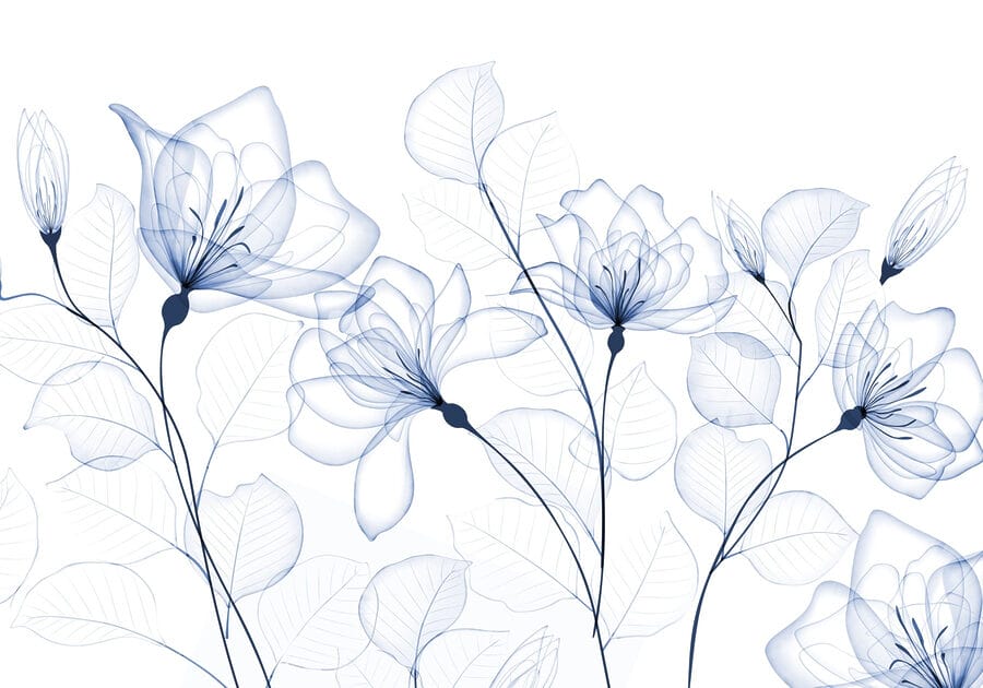 Flores e folhas transparentes