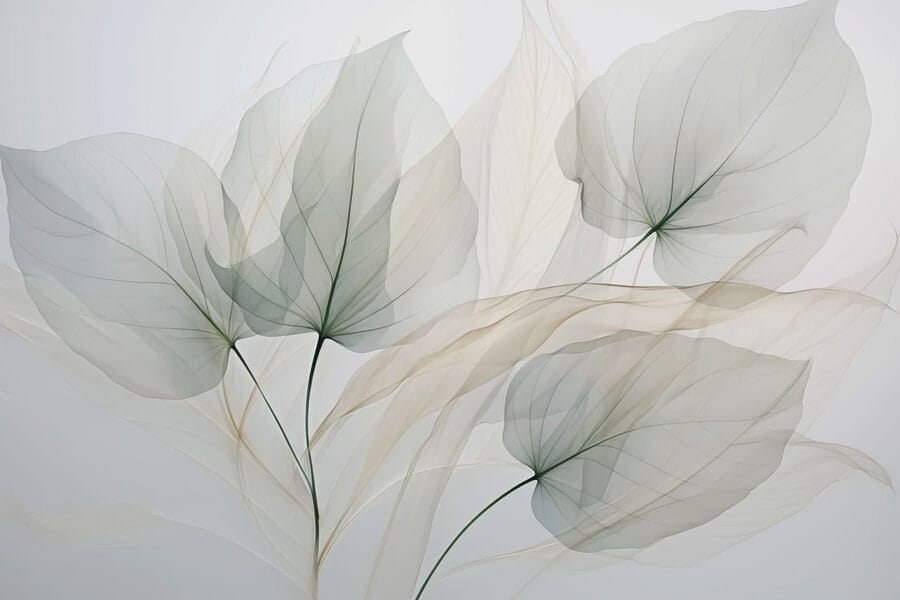 Folhas transparentes sobre um fundo branco
