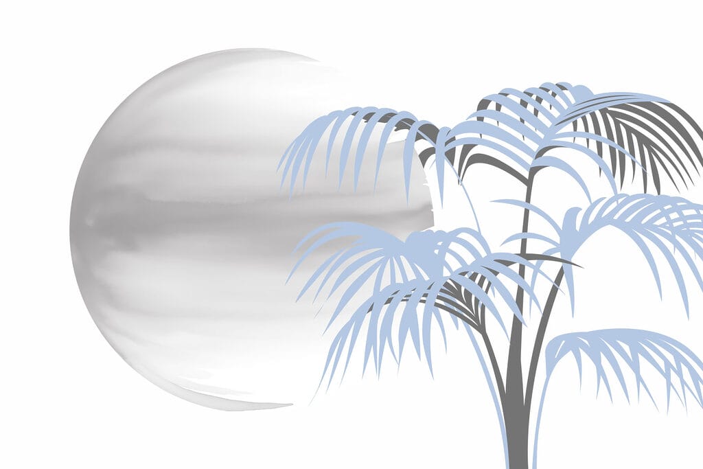 Árvore com folhas e um círculo branco redondo Árvore com folhas e um círculo branco redondo