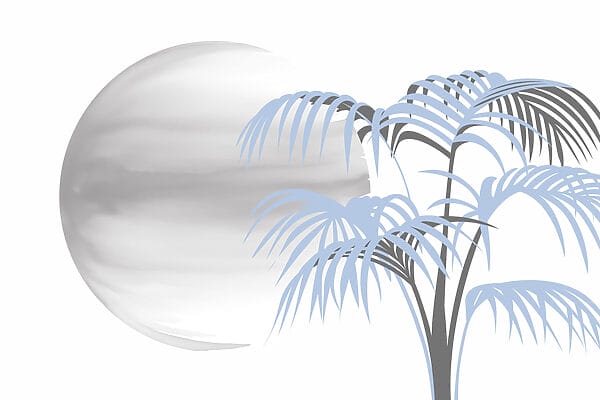 Árvore com folhas e um círculo branco redondo Árvore com folhas e um círculo branco redondo