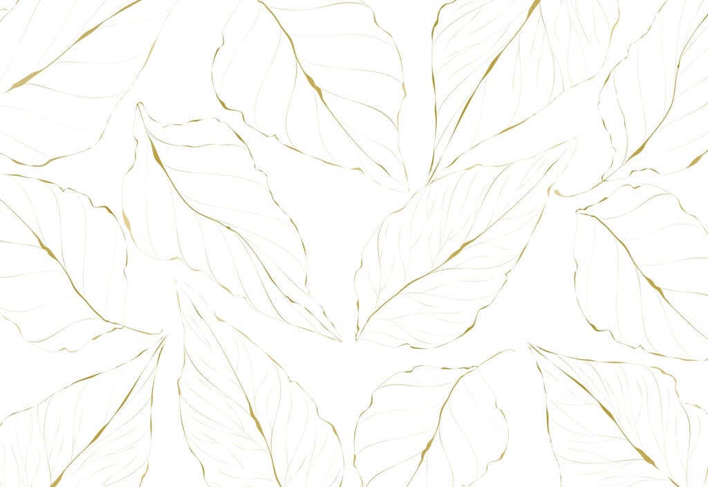 Padrão de folhas sobre um fundo branco Padrão de folhas sobre um fundo branco