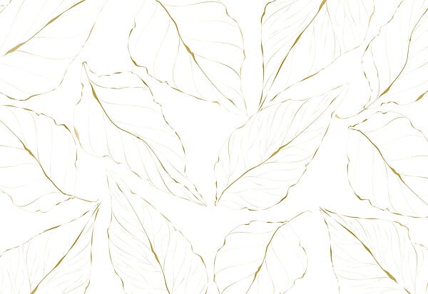 Padrão de folhas sobre um fundo branco Padrão de folhas sobre um fundo branco