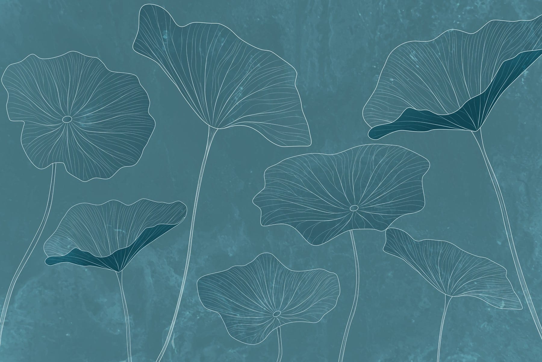 Drawing of leaves on a blue background Drawing of leaves on a blue background