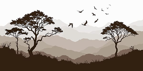 Pássaros a voar sobre uma cadeia de montanhas Pássaros a voar sobre uma cadeia de montanhas