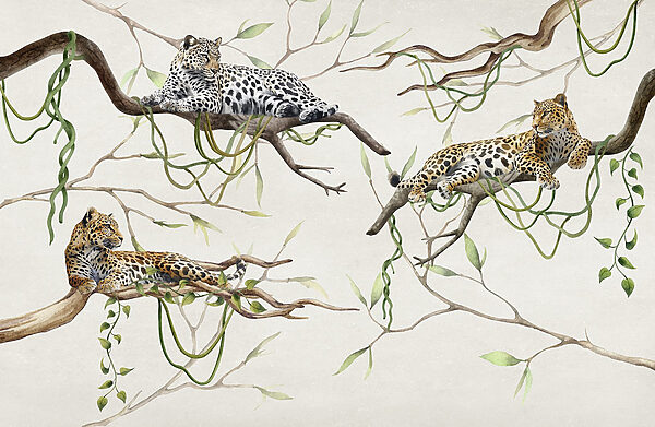 Grupo de leopardos deitados em ramos Grupo de leopardos deitados em ramos