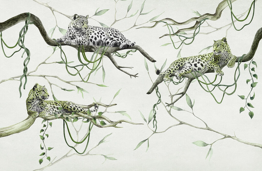 Grupo de leopardos deitados em ramos Grupo de leopardos deitados em ramos