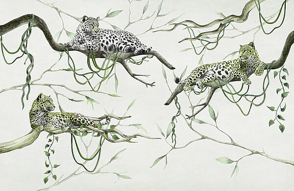 Grupo de leopardos deitados em ramos Grupo de leopardos deitados em ramos