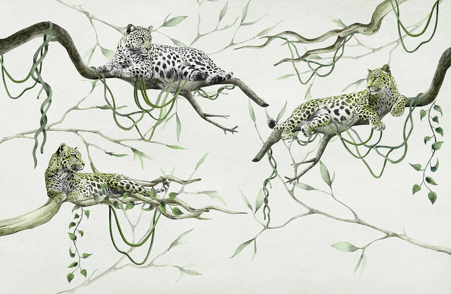 Grupo de leopardos deitados em ramos