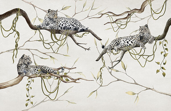 Grupo de leopardos deitados em ramos Grupo de leopardos deitados em ramos