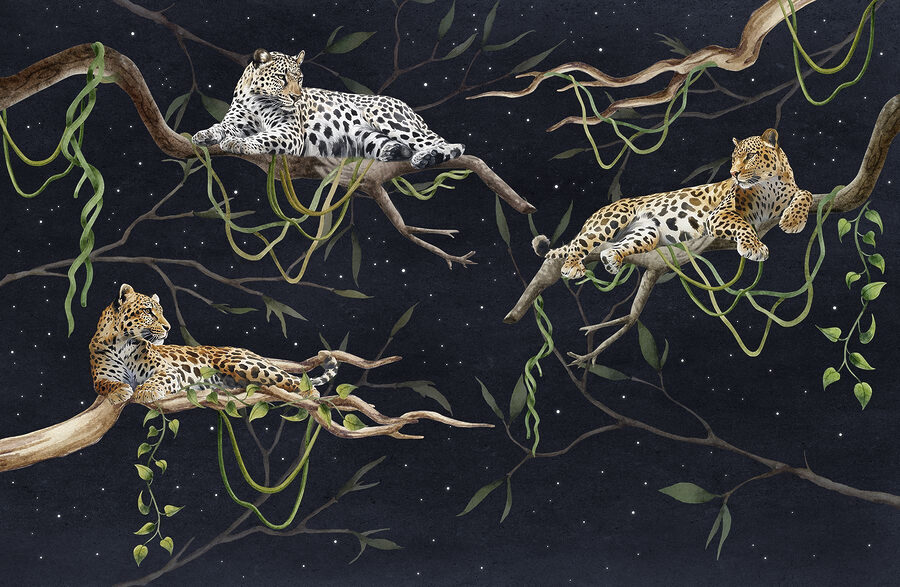 Papel de parede Grupo de leopardos deitados em ramos - Image 6