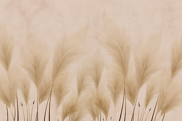 Group of feathers on a beige background