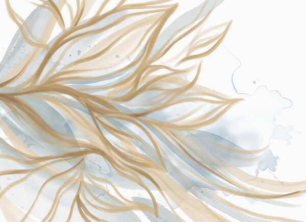 Linhas fluidas de beleza natural. Linhas fluidas de beleza natural.
