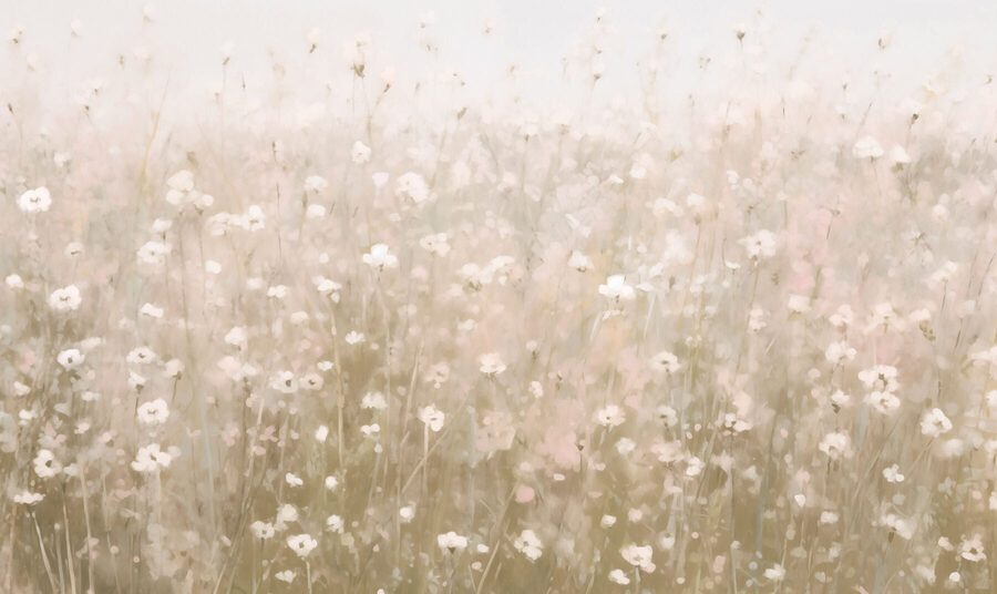 Campo de flores